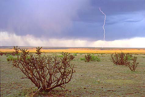 lightning photograph "Desert Angel"